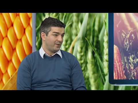 BC HIBRIDI 2019 - BC hibridi u emisiji Poljloprivrednik 17.02.2019. TV AS Šabac