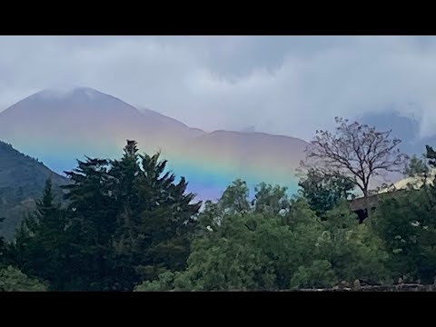 Vilca Skies, Jenice McAlevy