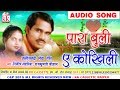 दिलीप लहरिया राजकुमारी चौहान सीजी गी�