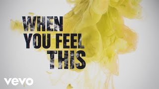 Stafford Brothers - When You Feel This (Lyric Video) ft. Jay Sean, Rick Ross