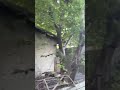 Видео превью