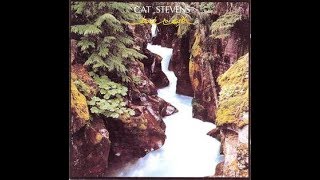 Cat Stevens:-&#39;Last Love Song&#39;