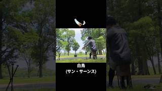 Download lagu 【のこぎり演奏】白鳥(サン・サーンス) #musicalsaw #楽器演奏 #自然 mp3 Download lagu 【のこぎり演奏】白鳥(サン・サーンス) #musicalsaw #楽器演奏 #自然 mp3