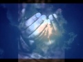 MAJESTY Wmv