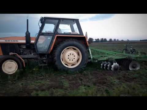 jesień 2020 czyli talerzowanie poplonu🌱☘🌿||Ursus 912 brona talerzowa bomet 2.7 metra||