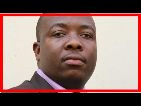 News – from die for mugabe to grovelling apology: zanu pf youth led-Zimbabwe