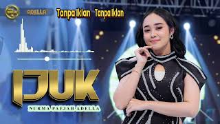 Download lagu Nurma Paejah Adella  (IJUK) TANPA IKLAN Terbaru 2024 mp3