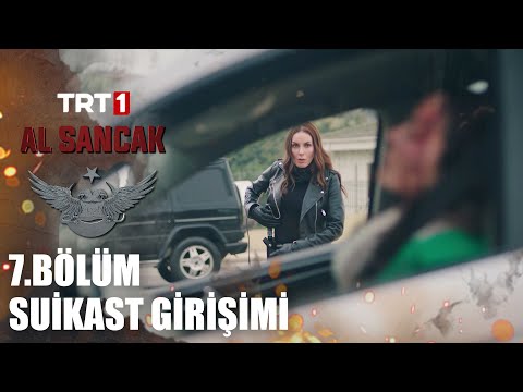 Amy, Berna’nın Peşinde - Al Sancak @alsancaktrt