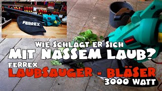 Schafft er nasses Laub ? Aldi - FERREX Elektro-Laubsauger 3000W