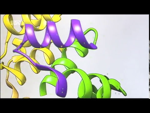 Treći element S03E09 - Proizvodnja proteina