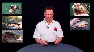 Запрет ловли с лодок в челябинской области