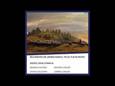 Béla Bartók (ar. Șerban Marcu) - Pă cel plai de munte