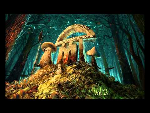 Infected Mushroom - Trance Party [HD]