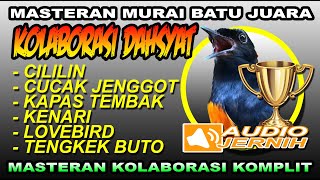 Download lagu PAKET KOMPLIT KOLABORASI DAHSYAT | MURAI BATU JUARA | siang dan malam | SHAMA BIRD mp3 Download lagu PAKET KOMPLIT KOLABORASI DAHSYAT | MURAI BATU JUARA | siang dan malam | SHAMA BIRD mp3