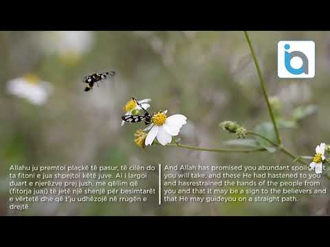 Abdullah Ziba - Surah Al-Fath/ Surja Fet'h/ سورة الفتح