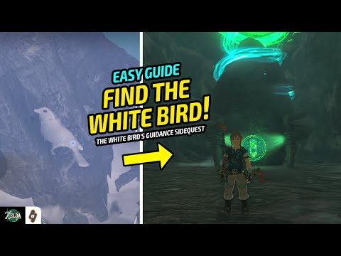 EASY GUIDE: White Bird's Guidance Shrine Quest | Zelda Tears of the Kingdom Walkthrough