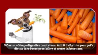 7 Natural Dog Worming And Cat Worming Treatment