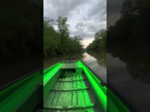 2020 Havoc 653 VJ + Tohatsu MFS 50A long shaft + Vance 6" transom power Jack