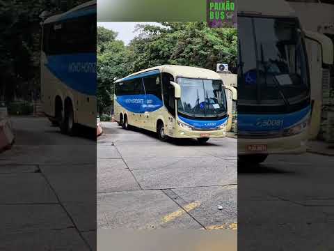 Novo Horizonte 500811 - São Paulo x Ibipitanga #busologia #ônibus #onibus #buses #autobuses