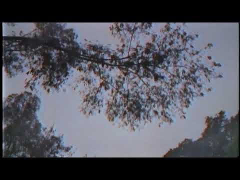 play the symphony - a1ne