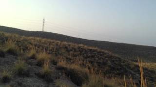 turismo, almeria, paleontologia, geología, accidente, juan miguel moreno, palmo de salas