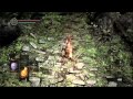 Torch Hollows Mp4