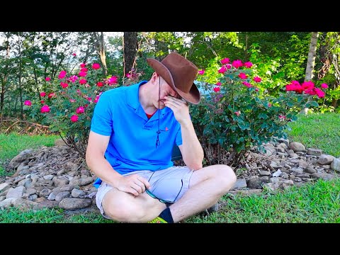 R.I.P. Tater 8-5-2020