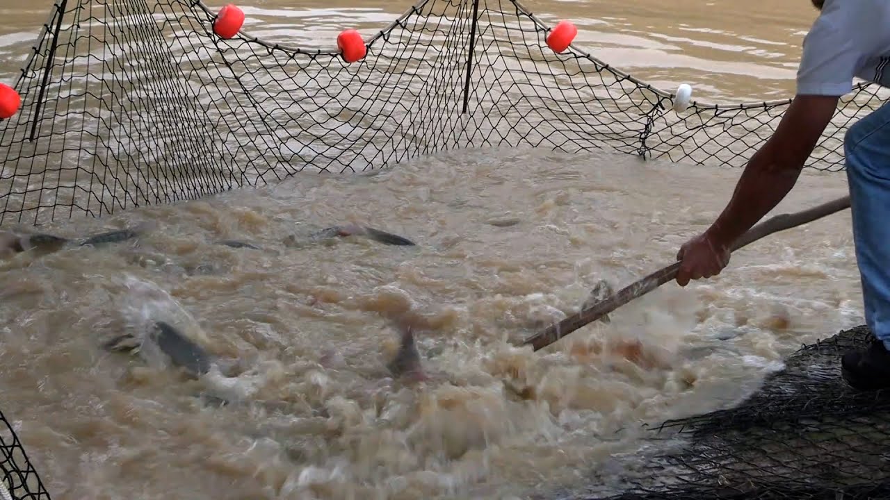 Miniatura do YouTube