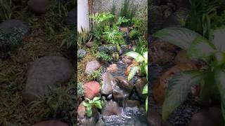 Download lagu kolam kecil depan kamar samping dapur mp3