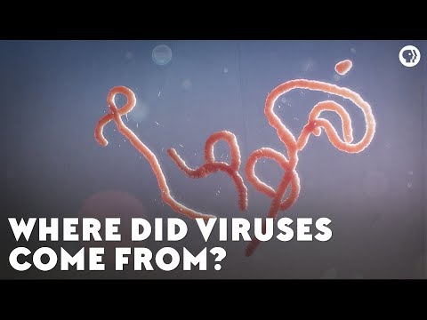 Hpv vírus kezelése uk