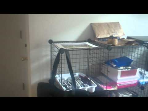 Rosanova's New House