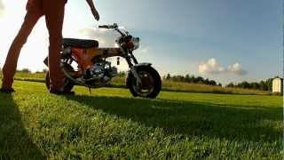 preview picture of video 'Zero Rose Style 50cc Dax'