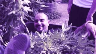 Berner - Seal (Slowed & Screwed)