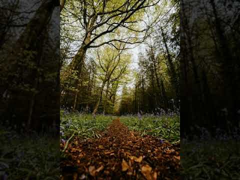 Nature, beautiful nature, beautiful nature,mother nature,the breathtaking beauty of nature,nature vi