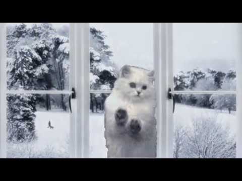 download lagu mp3 mp4 Ce Inseamna Daca Visezi Ca Ninge, download lagu Ce Inseamna Daca Visezi Ca Ninge gratis, unduh video klip Ce Inseamna Daca Visezi Ca Ninge