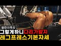 다리운동 레그프레스 백날해도 당신의 하체가 얇은 이유