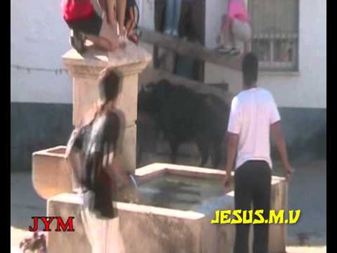 Toro levantando las maderas.¿Entrara en la casa?