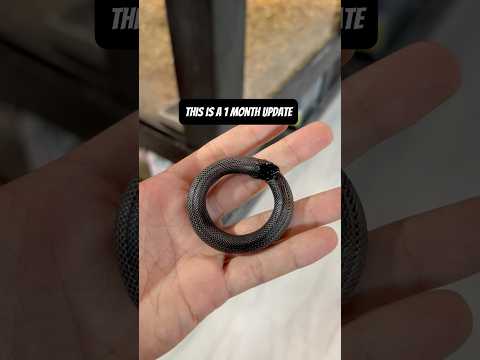 Update on the Ouroboros Kingsnake Bracelet #ouroboros #snake #bracelet #reptiles