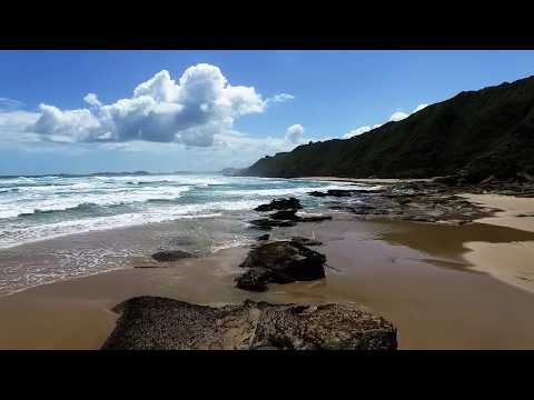 Psalms 41-45 Audio Visual Bible