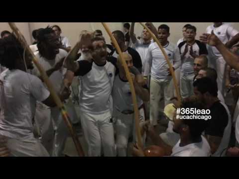 Entry 281#365leao Mestre Ra Sings a Closing Song