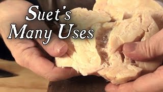 Suet Tips and its Many Uses - Q&A