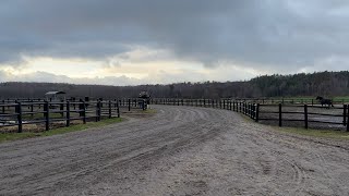 Ratastraktor Case IH 1255XL | Pilt 4 - Agroline