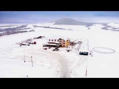 Pensiune Restaurant Ionut - Padurea Bogății