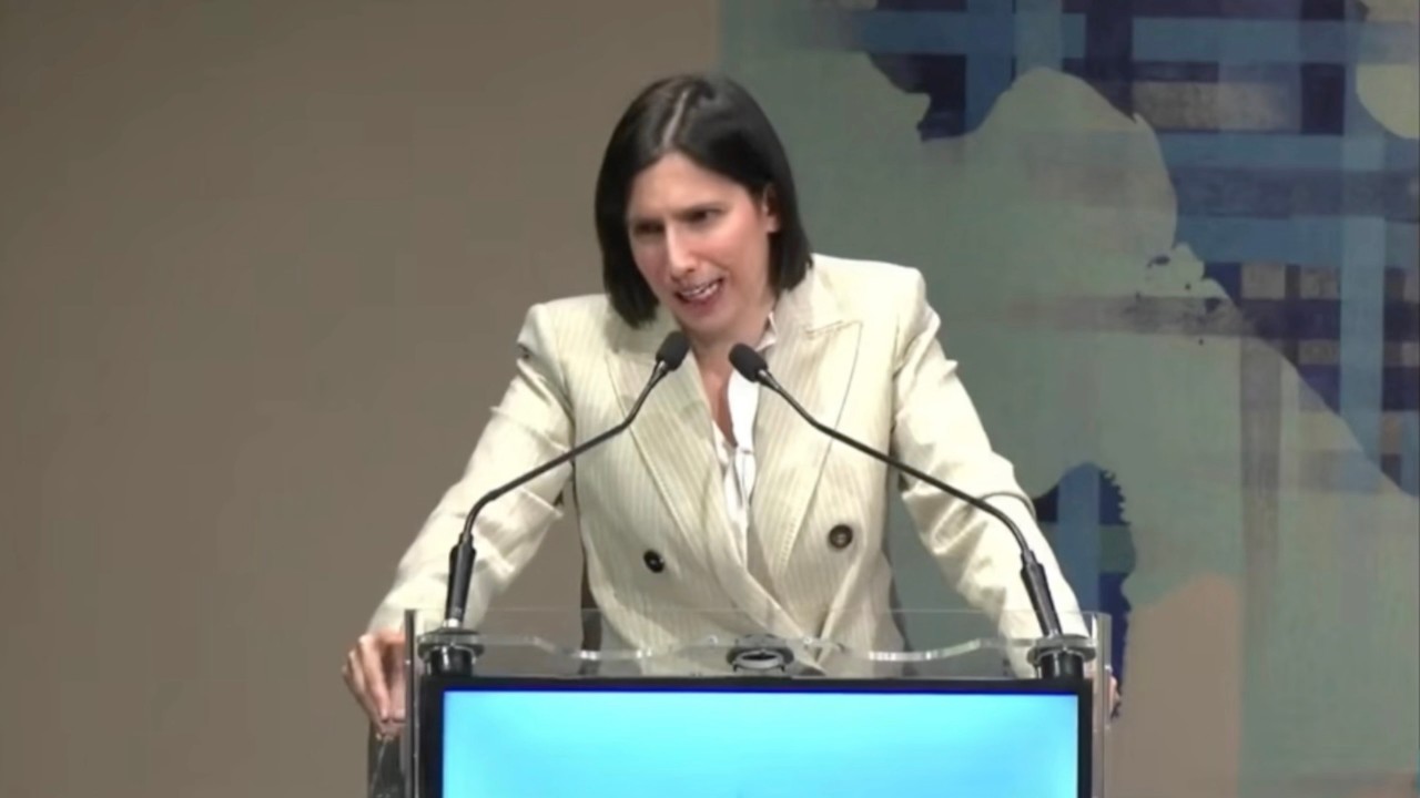 ELLY SCHLEIN SUL PICCOLO DOMENICO: "CI AUGURIAMO CHE VENGA FATTA CHIAREZZA"