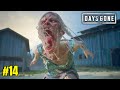 Fighting Screamer Zombie - Days Gone Gameplay #14