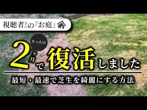  3月の芝生の手入れ方法は？元気に成長するための5つのヒント！  庭園