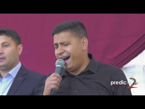 Fluxul live al utilizatorului prediclive