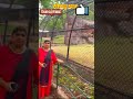 Shorts Vizag Zoo Tiger Aswini Kitchen And Vlogs