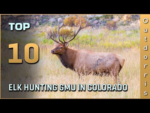 Top 10 Elk Hunting GMU in Colorado