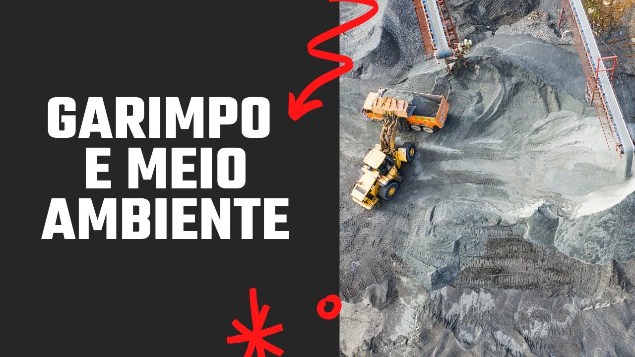 Garimpo e Meio Ambiente: OS REAIS IMPACTOS AMBIENTAIS